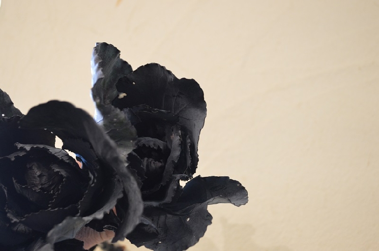 湧き出る創作意欲