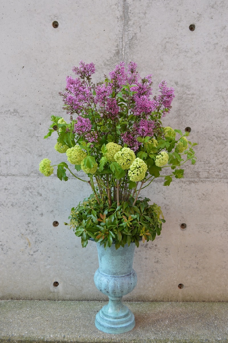 お久しぶりです。