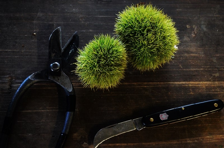 正スタッフ、パートスタッフ募集