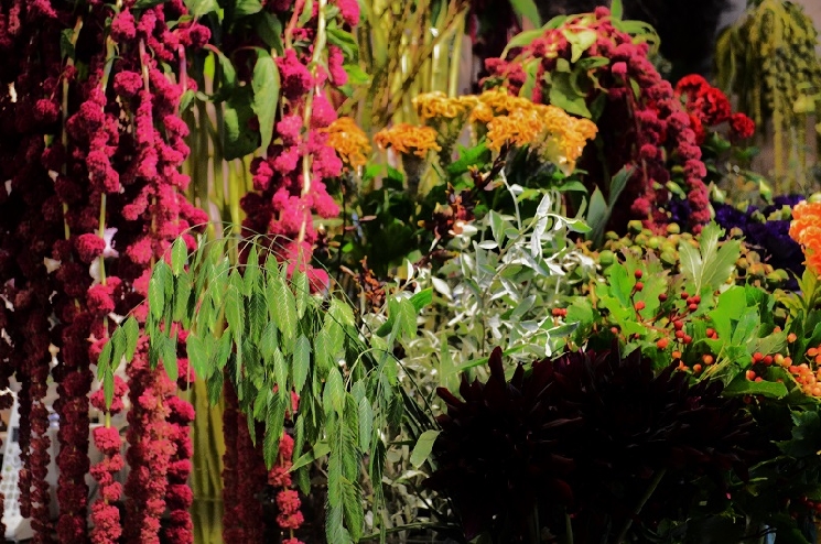 9月になりましたね。