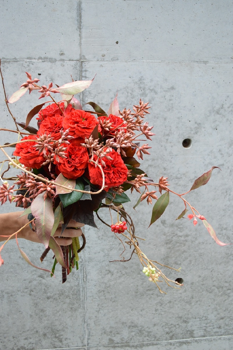 素敵なマメ男くん。