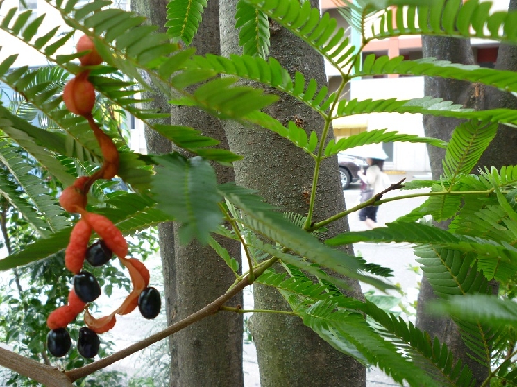 ビールのお伴に。