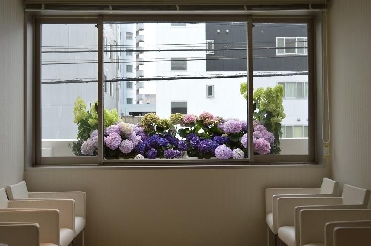 おおはし内科循環器科医院様