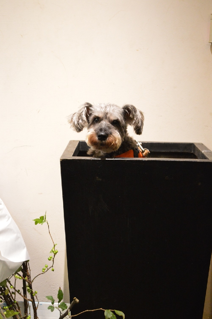 はじめまして、モジャです。