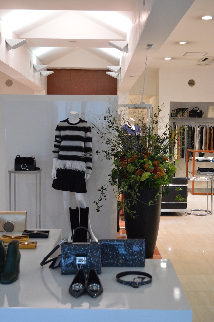 ＮＡＪＡ　ＦＩＯＲＥ