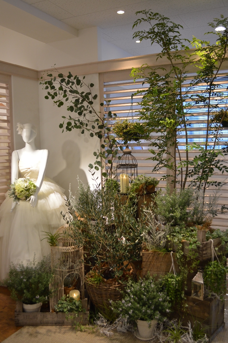 ワタベウェディング福岡店様