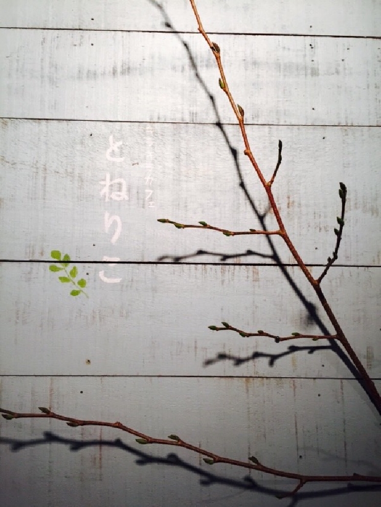 キラキラカフェとねりこ様