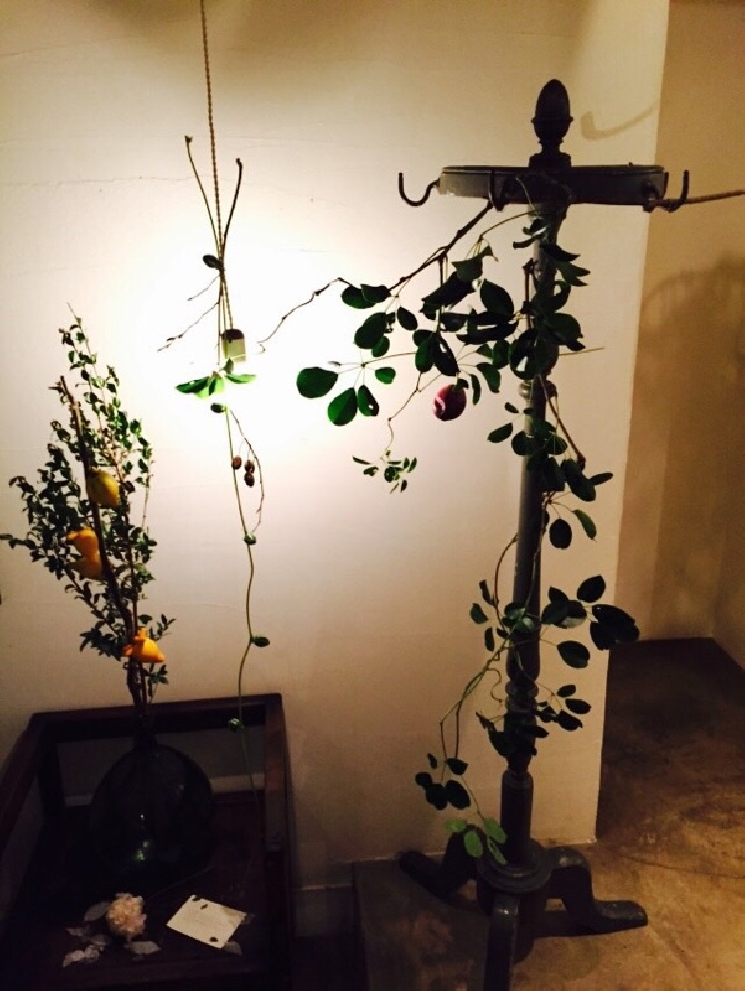 キラキラカフェとねりこ様