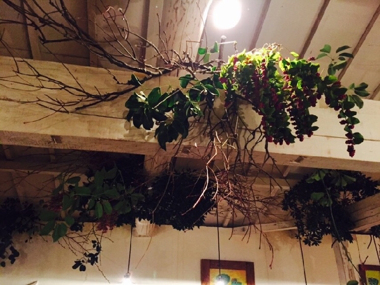 キラキラカフェとねりこ様