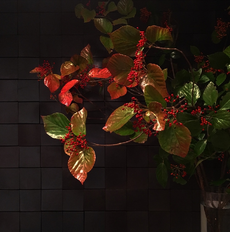 セゾンドール食堂様