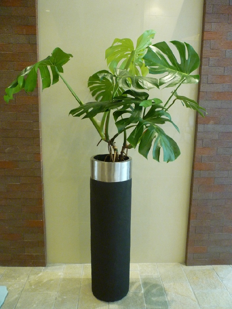 おかげさまで筋肉痛。