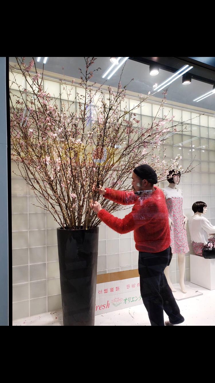 この季節がやってきた