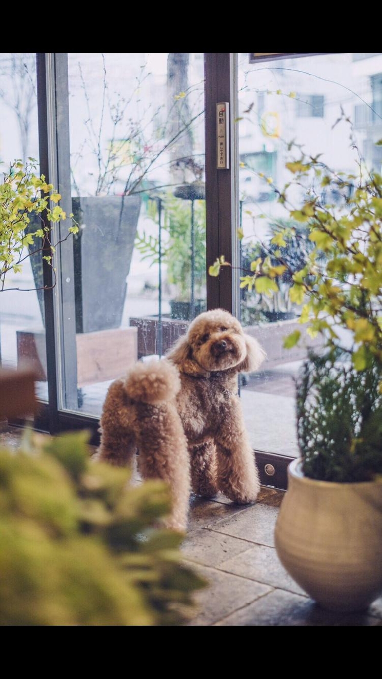 花匠からのお知らせ