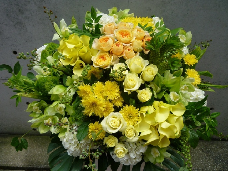 夢の国からのご注文。