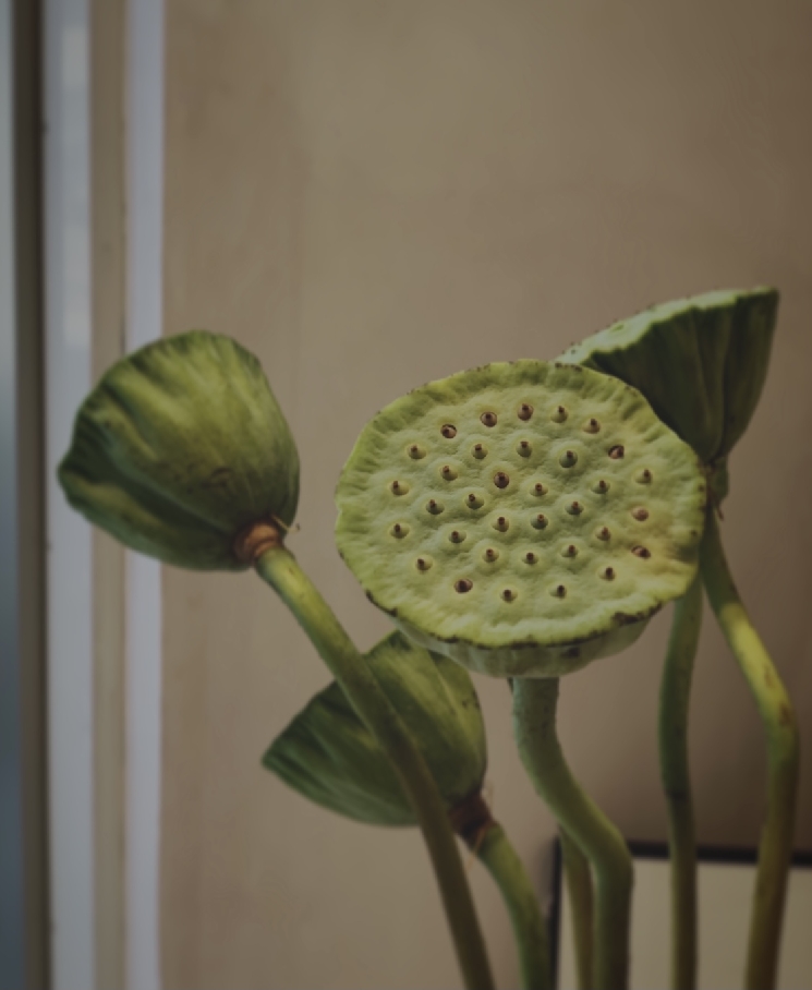 お盆休みについて