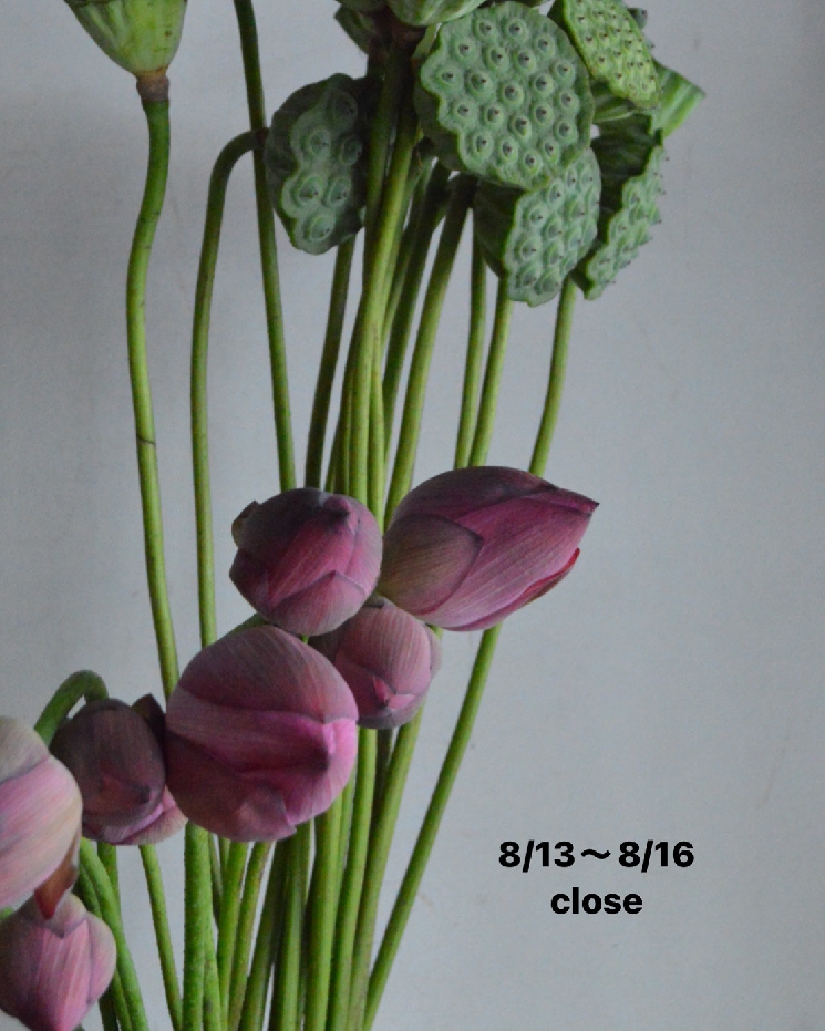 お盆休みについて