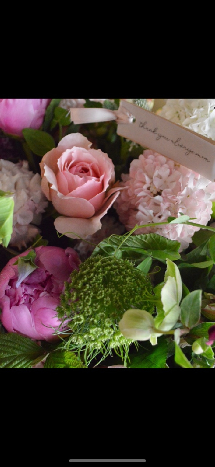 花匠からのお知らせ