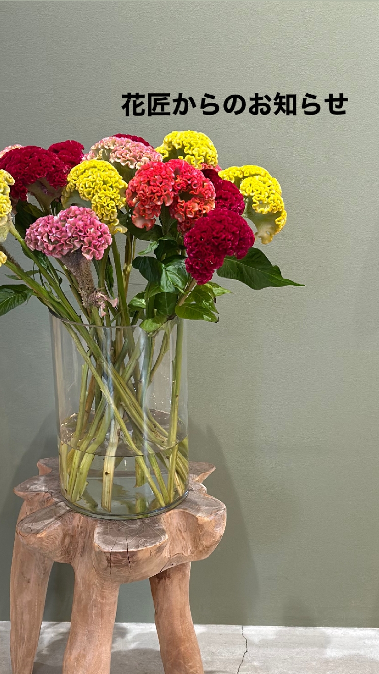 9/27（金）の営業について