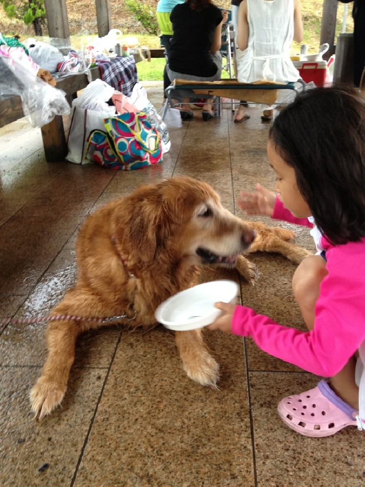 花匠ＢＢＱ　2013