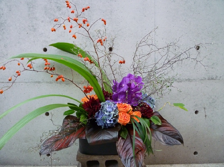 中島町倶楽部　オープン