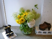 Display[ディスプレイ]