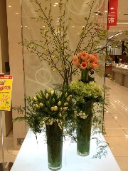 Display[ディスプレイ]