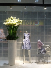 Display[ディスプレイ]