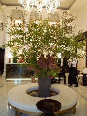 Display[ディスプレイ]