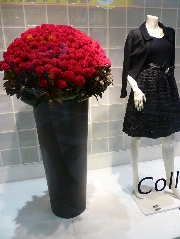 Display[ディスプレイ]