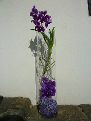 Display[ディスプレイ]