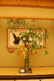 Bridal[ブライダル]